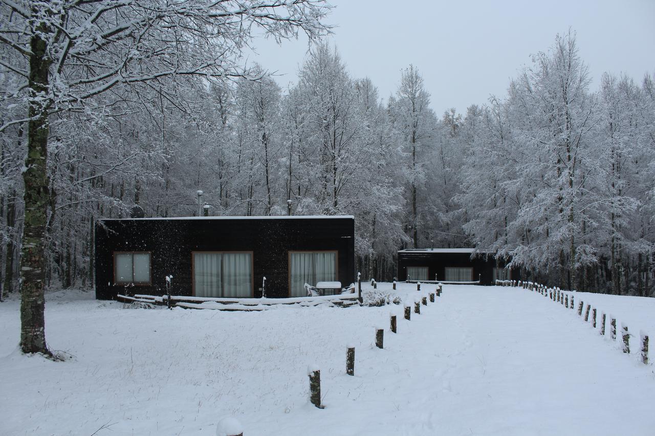 Cabanas Am Berg 푸콘 외부 사진