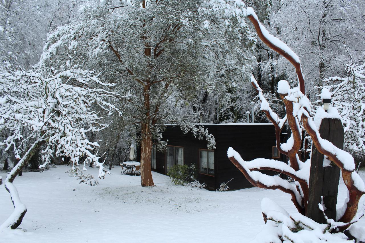 Cabanas Am Berg 푸콘 외부 사진